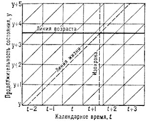 Фрагмент демографической сетки с линией возраста (продолжительности состояния).