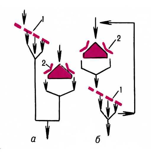  Рис. 2. Дробление в открытом (а) и замкнутом (б) циклах: 1  - грохот; 2 - <a href=