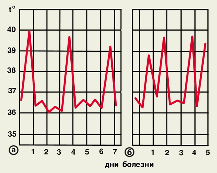 Рис. 4. Температурные кривые при четырехдневной малярии: а — приступы через 2 дня; б — приступы через 2 дня подряд с однодневным периодом апирексии