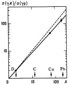 5110-37.jpg