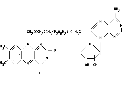 flavin adenine dinucleotide, FAD, флавин-адениндинуклеотид, ФАД