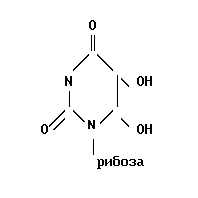 5,6-dihydrouridine, 5,6-дигидроуридин