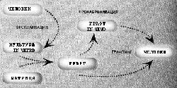 Схема процессинга тканеинженерных конструкций